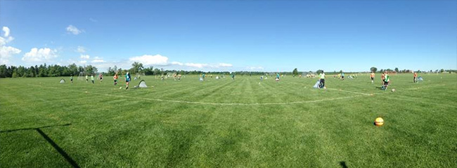 Photo of Field